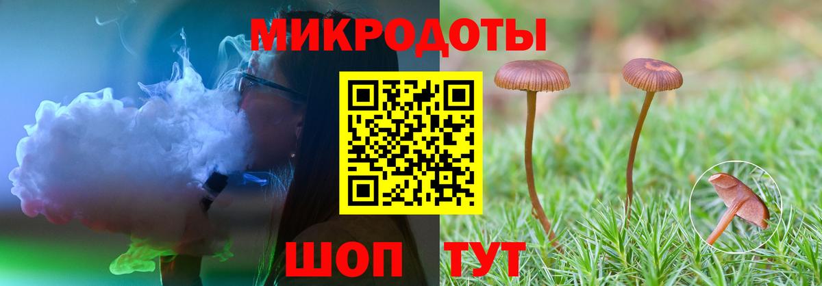 Псилоцибиновые грибы Psilocybe  Вход с VPN  Махачкала  где купить наркотик  Псилоцибиновые грибы MAGIC MUSHROOMS 
