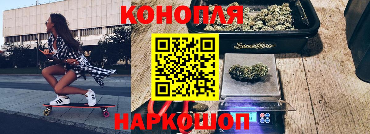 Бошки Шишки Amnesia Махачкала